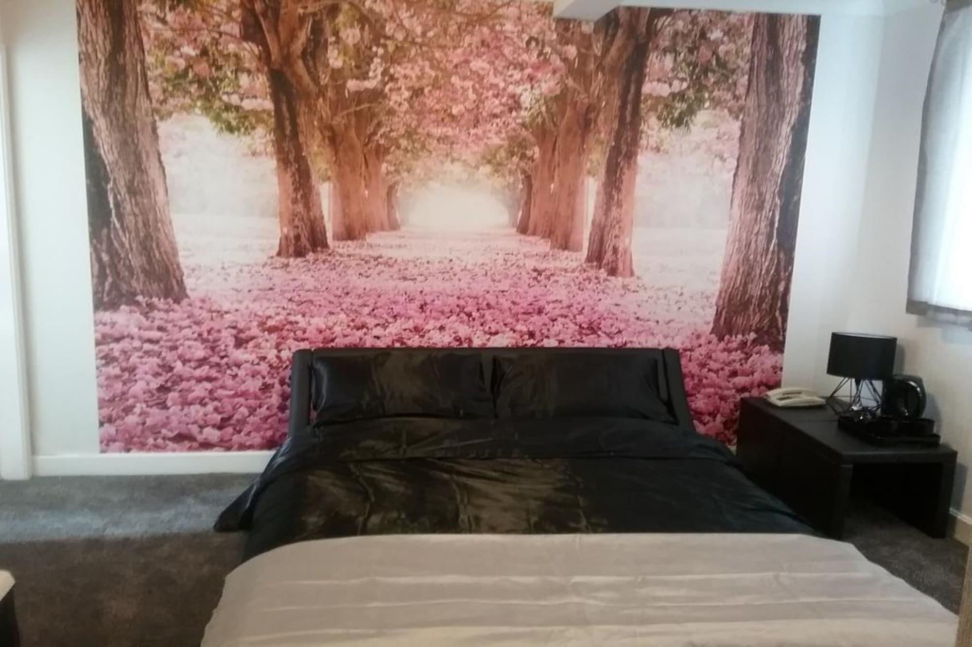 Star Hotel, South 레스터 외부 사진